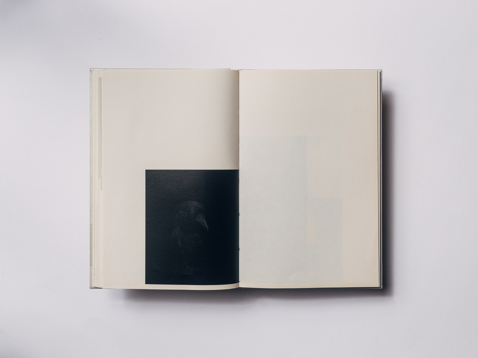 Daniel Niedermeier / books